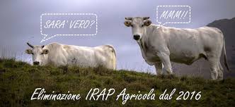 IRAP e Aziende agricole e Produttori agricoli – Esclusione da IRAP a partire dal 2016 – Effetti